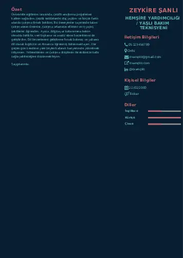 Hasta ve Yaşlı Bakım Elemanı Cv Örnekleri cv indir